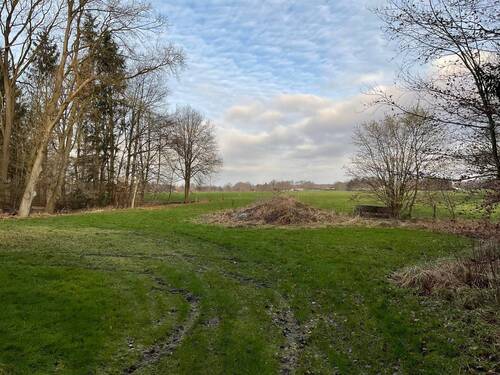 Blick auf die angrenzende (eigene) Weide und den kleinen Baumbestand - 