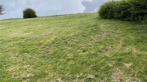 Bild 1 - Grundstück zum Kaufen in Maselheim