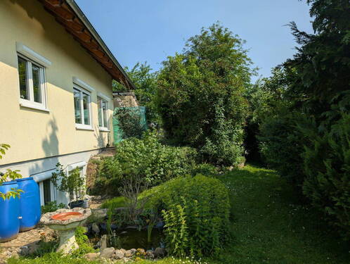 Blick auf Teich und Südseite - 