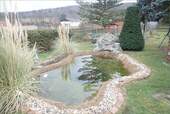 Gartenteich - 