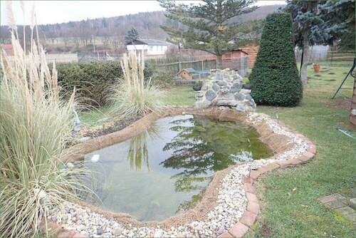 Gartenteich - 
