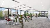 Bild 11 - 
