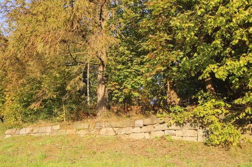 Ansicht 2 - Grundstück in Sebnitz zum Kaufen