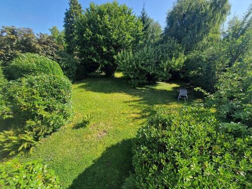 Garten (mit Apfelbäumen) - 