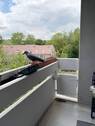 überdachter Balkon - 2-Zimmer-Eigentumswohnung mit Balkon, Aufzug und Schwimmbad in Würzburg-Versbach