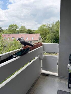 überdachter Balkon - 2-Zimmer-Eigentumswohnung mit Balkon, Aufzug und Schwimmbad in Würzburg-Versbach