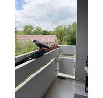 2-Zimmer-Eigentumswohnung mit Balkon, Aufzug und Schwimmbad in Würzburg-Versbach