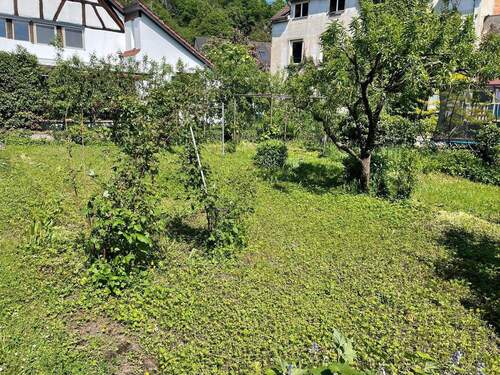 Garten - Grundstück zum Kaufen in Grenzach-Wyhlen
