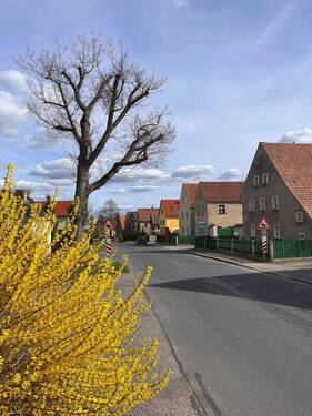 Dorfstraße - 6 Zimmer Bauernhaus, Landhaus in Dresden