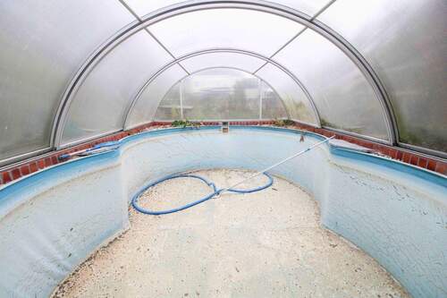Pool - 