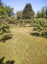 Obstbaumbestand - Grundstück in Bad Sulza