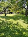 Natur pur - 