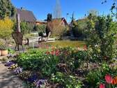 Teich - 