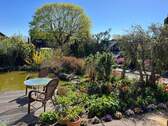 Teich Vorgarten - 