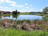 IMG_6100.jpg - 
