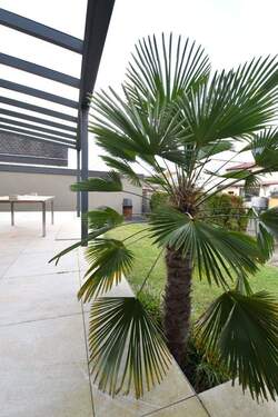 Terrasse mit Garten - 