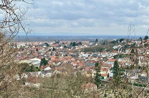 Ausblick Süd-Ost - Grundstück in Bad Dürkheim