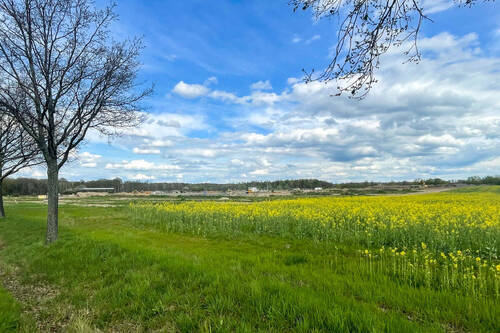 Blick von B107 - Etwa 7.500 m² Gewerbegrundstück direkt an der A14 und B107!