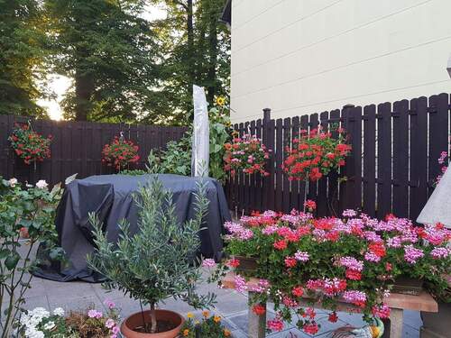 Den Sommer geniessen..... - 