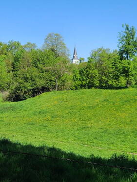 Weg um Orsoy Frühling - 