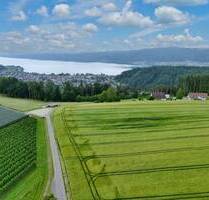 Seltenes Hofensemble in exponierter Lage - Bodman-Ludwigshafen