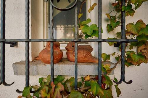 Detailansicht Fenster - 