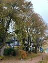 Weg zum Kurpark - 