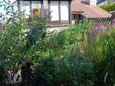 20250719_162355.jpg - 