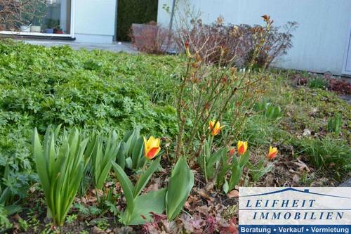 Blumenrabatte - 