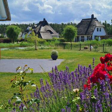 Blick in den Garten - 