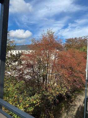 IMG_3686.jpeg - Etagenwohnung mit 51,00 m&sup2; in Chemnitz zur Miete