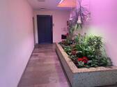 Hauseingangsbereich - 