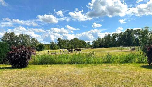 Ausblick - 