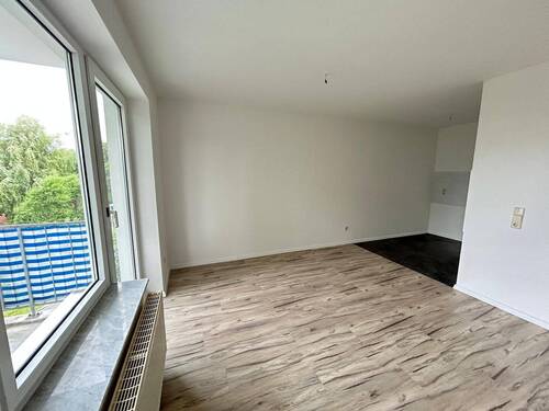 IMG-20250805-WA0007.jpg - 