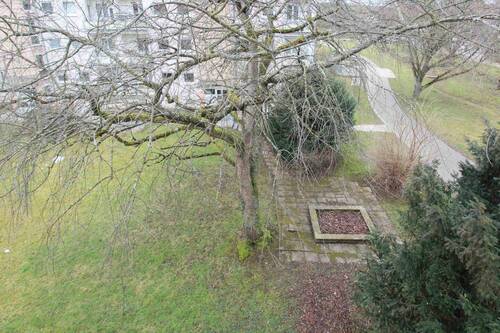 Außenanlage - 