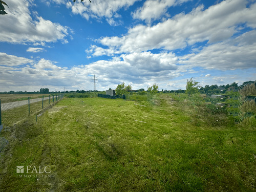 Gartenbereich - 
