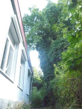 Süd West-Fassade Wo-Zi - 