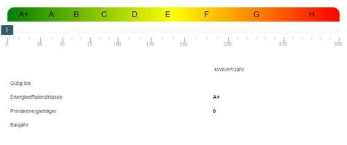 Energieausweis - 