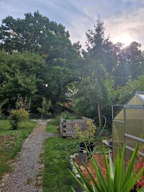 Garten mit Gewächshaus - 6 Zimmer Einfamilienhaus in Ebeleben