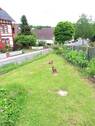 Garten - Einfamilienhaus mit 140,00 m&sup2; in Fritzlar zum Kaufen