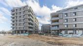 Weydenhof Stand 02.2025 (21) - 