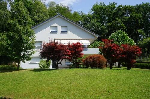 Sommerbild 1 - 6 Zimmer Mehrfamilienhaus, Wohnhaus zum Kaufen in Grenzach-Wyhlen