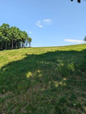 Grundstück - Großzügiges Grundstück mit Altbestand in idyllischer Lage