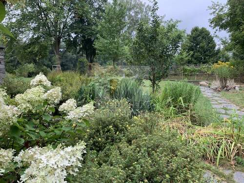 Garten nach Westen - 