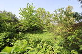 Bild 6 - 