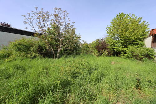 Bild 7 - 