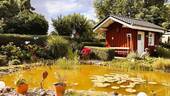 Garten-Teich u. Hütte.jpg - Mehrfamilienhaus, Wohnhaus mit 127,00 m² in Waabs zum Kaufen