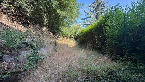 Garten - Einfamilienhaus mit 115,00 m&sup2; in Heppenheim (Bergstraße) zum Kaufen