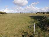 Weideland - Grundstück zum Kaufen in Friedrichskoog