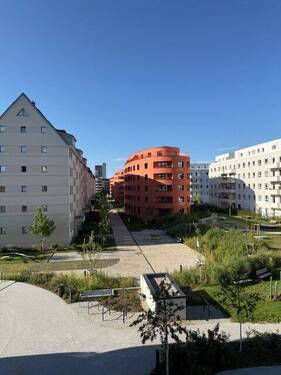Blick - 